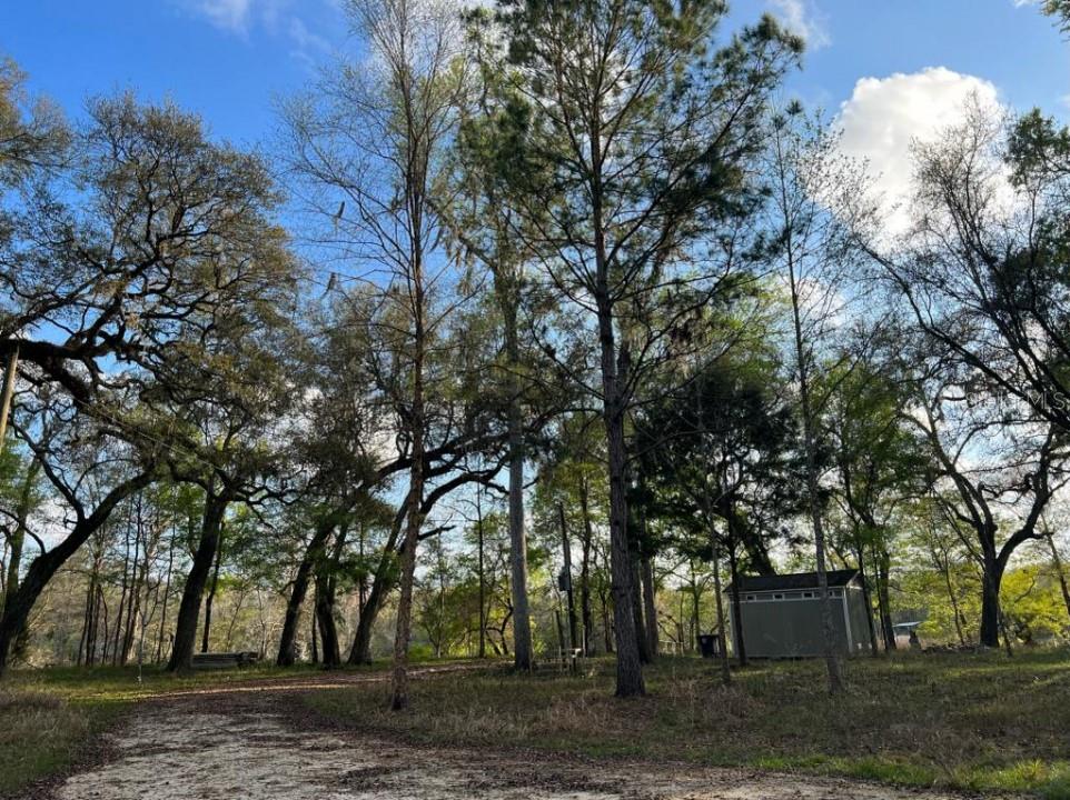 SUWANNEE LANDING SUB - Land