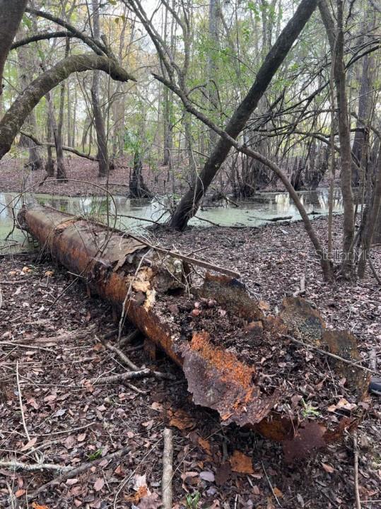 SUWANNEE LANDING SUB - Land