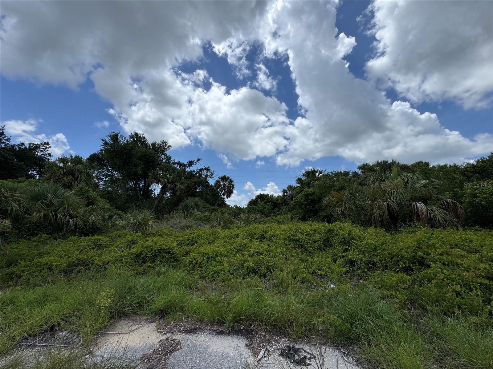 Exciting Price Reduction! Motivated Seller! Considering Offers! Build Your Dream Home in North Port!

Don’t miss this opportunity to own a spacious 0.39-acre residential lot located on a quiet cul-de-sac on Nace Court, just off the scenic Cocoplum Waterway in the desirable Port Charlotte Subdivision of North Port, Florida.

This single-family zoned property offers the ideal setting for your new home, featuring no HOA, no CDD fees, and no flood zone. Enjoy privacy and tranquility in an established neighborhood while remaining close to shopping, dining, I-75, and the beautiful Gulf Coast beaches.

Whether you’re ready to build now or looking for a solid investment for the future, this property offers excellent value and potential. Take advantage of the recent price reduction and make this North Port lot yours today!

Property Details:

Location: Nace Ct, North Port, FL

Lot Size: 0.39 acres

Near Cocoplum Waterway

No HOA | No CDD | Not in a Flood Zone

Zoning: Single-Family Residential