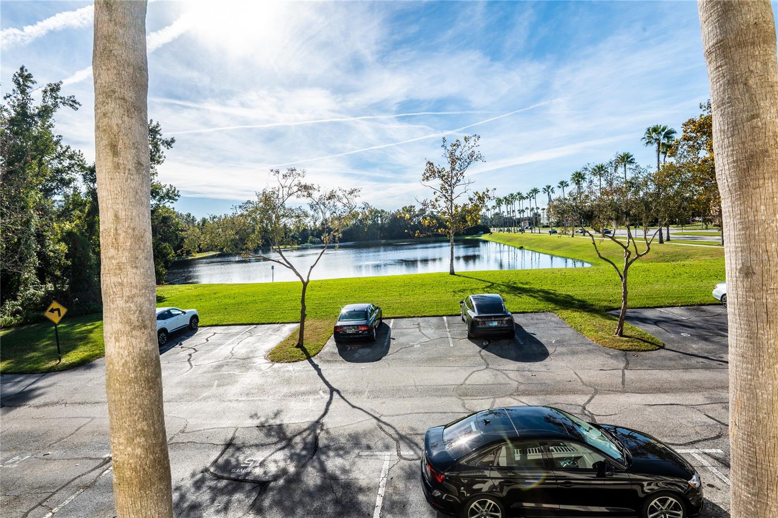 SIENA AT CELEBRATION CONDO A - Residential