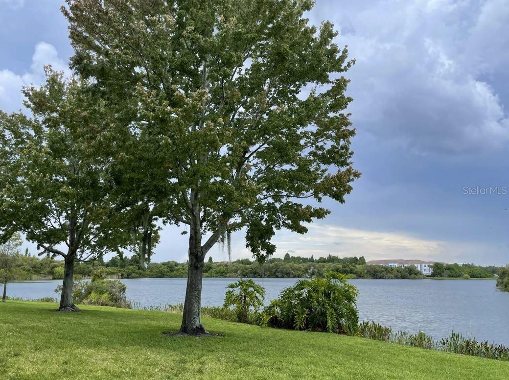 LAKE BRANDON PRCL 113 - Residential