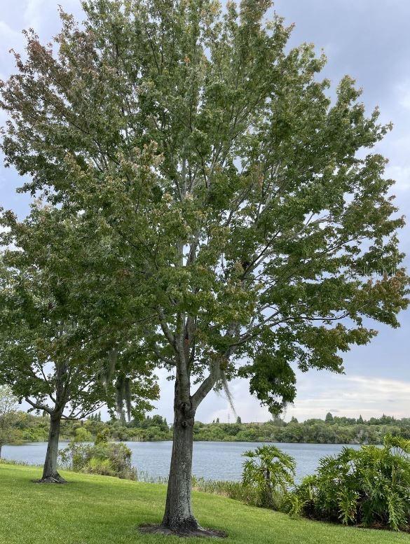 LAKE BRANDON PRCL 113 - Residential