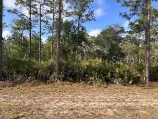 INDIAN LAKE ESTATES UNIT 09 REV - Land