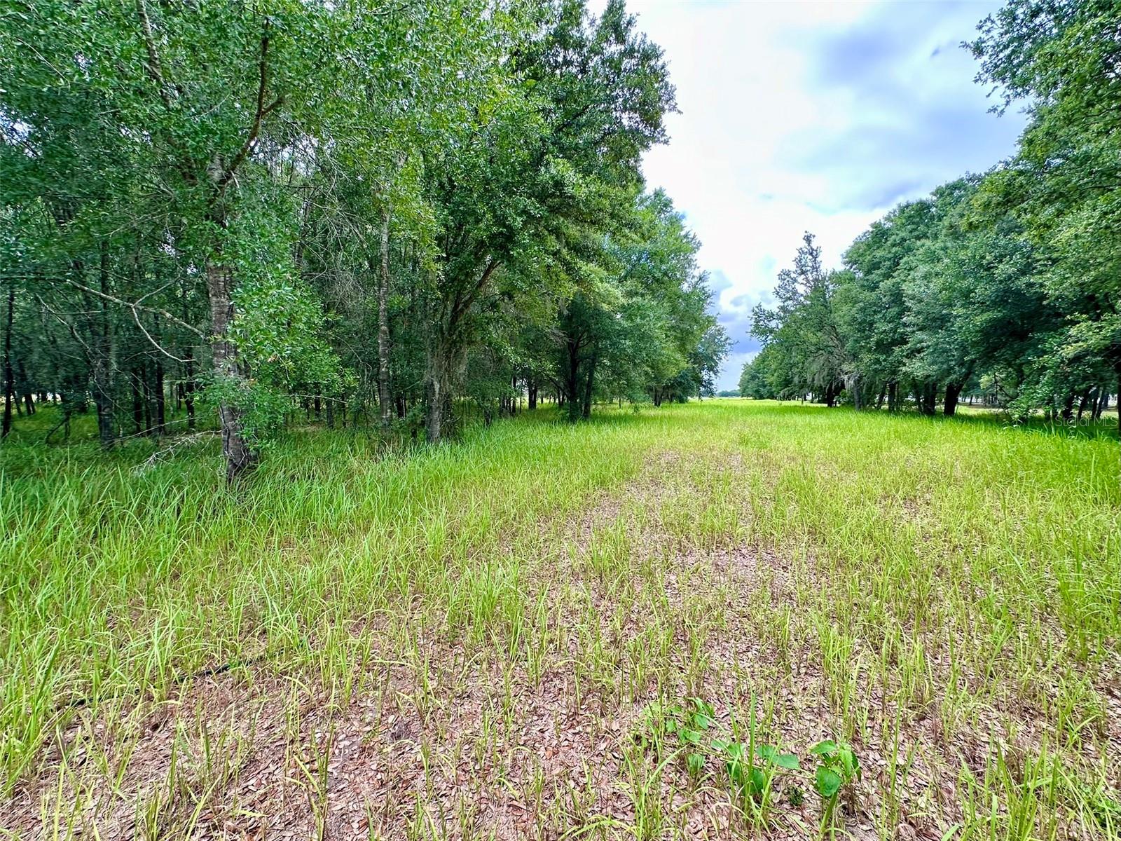 LAKESIDE RANCH - Land