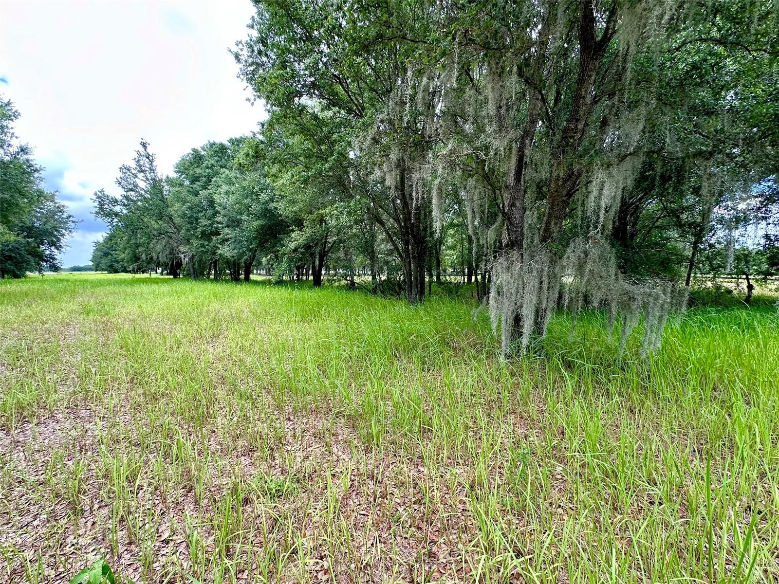 LAKESIDE RANCH - Land