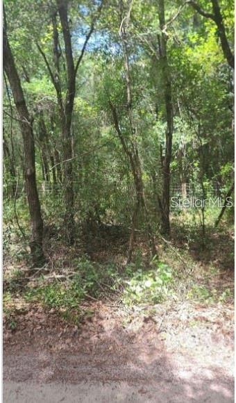 Enjoy quiet country living and modern convenience on this 1.25-acre lot in the Florida Highlands community of Dunnellon. The spacious A1-zoned, rectangular lot offers freedom from HOA restrictions, allowing you to build a site-built, manufactured, or mobile home