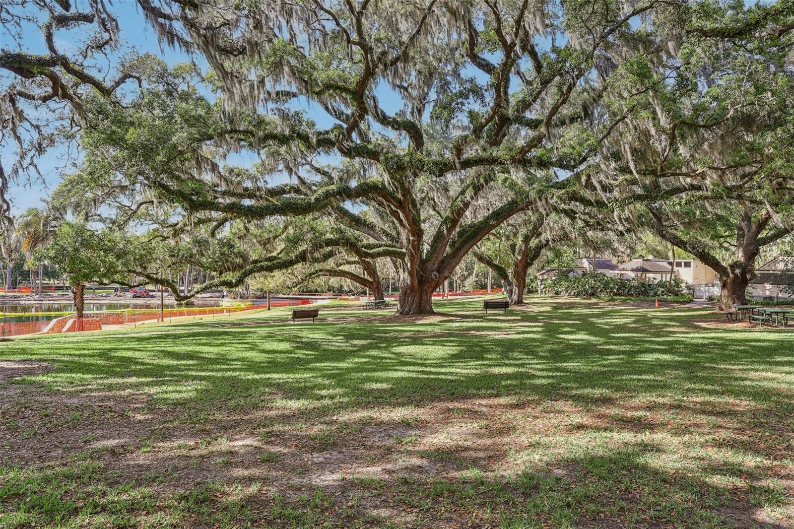 CROWN OAKS - Residential