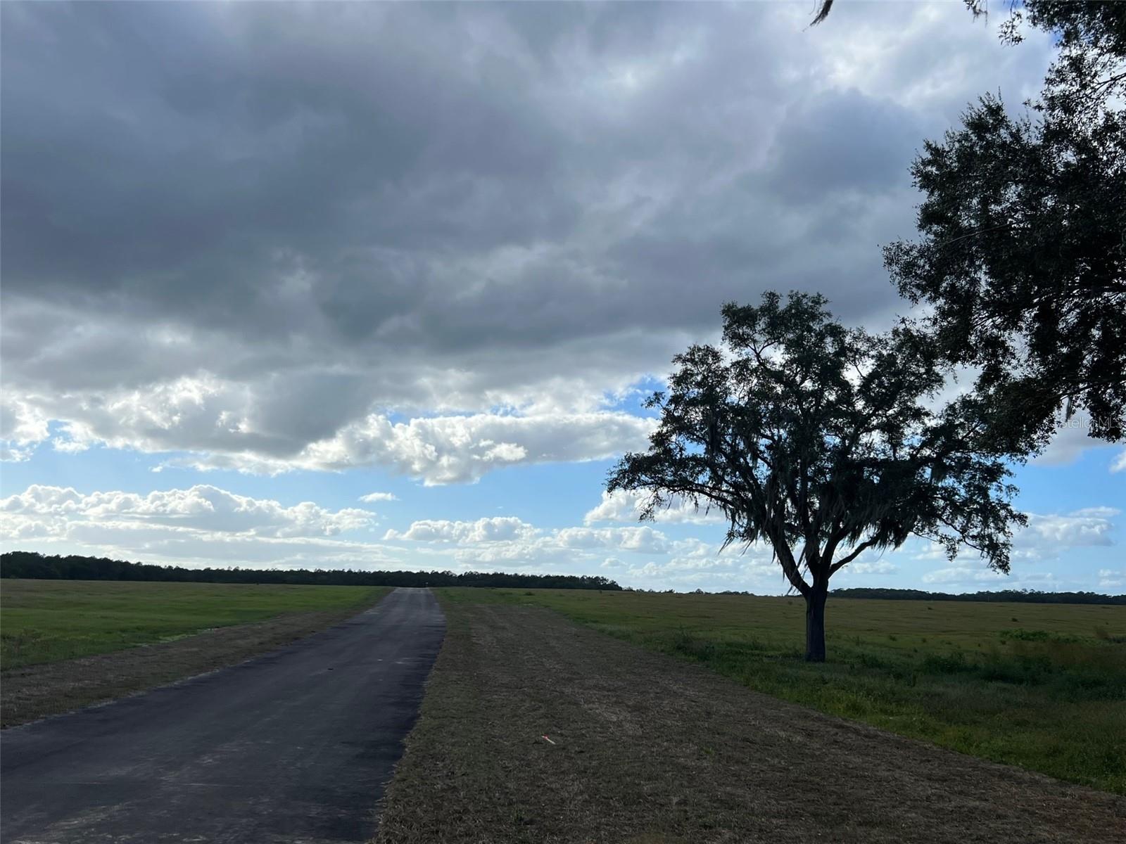 MOSS BLUFF RANCHES - Land