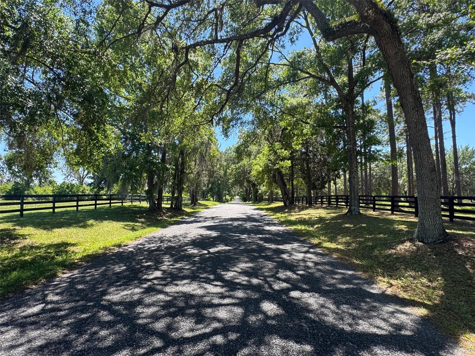 GROVE HOLLOW FARMS - Land