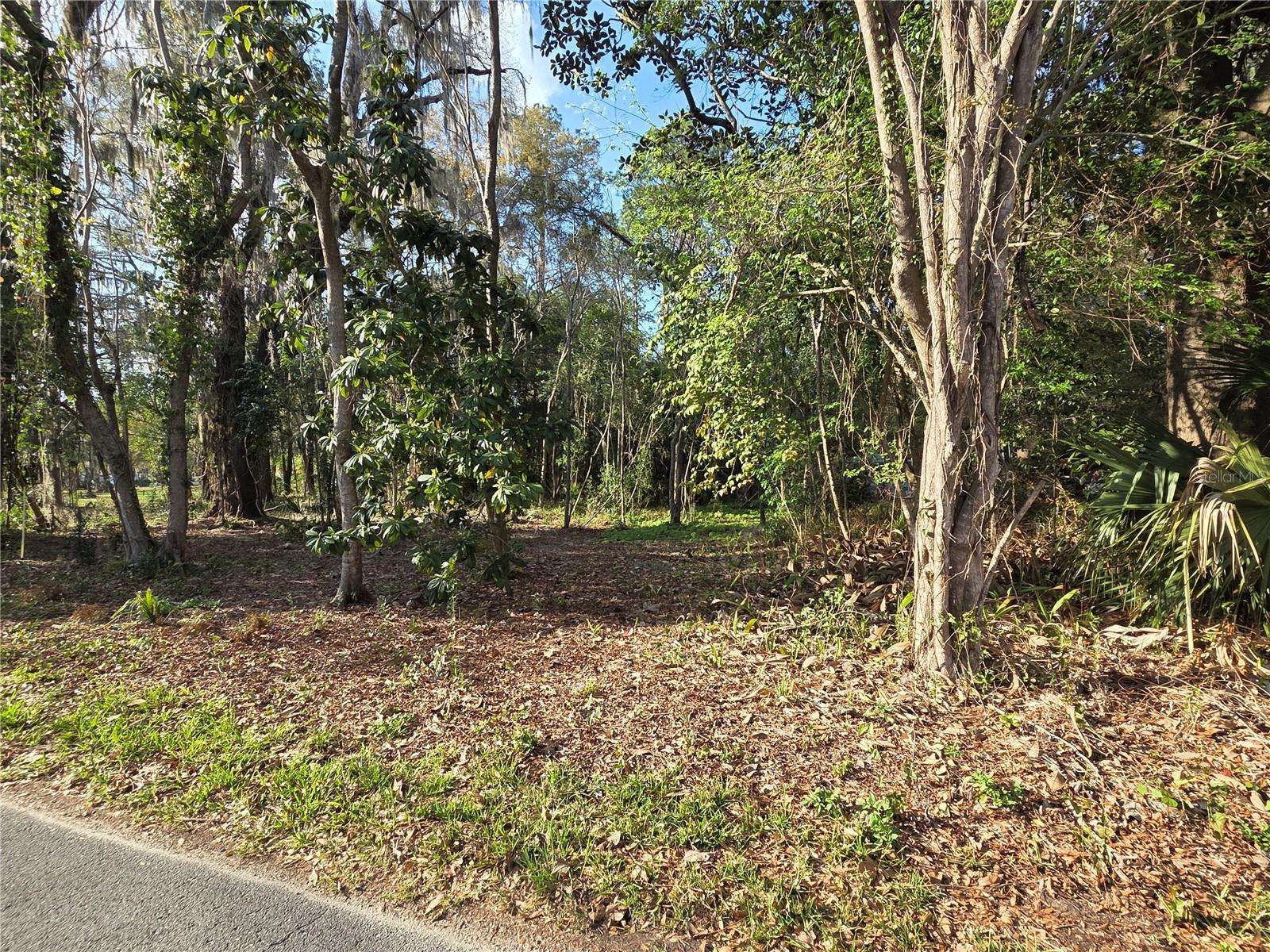 Build an income-producing property AND the home of your dreams in one of Gainesville’s most beloved neighborhoods! This is Parcel 3 of three available lots at the corner of NE 2nd Street and 13th Avenue.
Set on the edge of the Northeast Historic District, affectionately known as the Duckpond Neighborhood, this U3-zoned lot offers excellent potential for residential development, including a single-family home with the option for up to two ADUs (1 attached and 1 detached accessory dwelling units,) ideal for homeowners, builders, or investors. Public utilities are easily accessible.
Enjoy a prime location adjacent to Tom Petty Park, convenient to schools, shopping, restaurants, entertainment, and the area’s abundant recreation facilities and natural resources, all less than a 10 minute drive to the University of Florida and major hospitals. A rare opportunity to create something special in one of Gainesville’s most historic and desirable neighborhoods. Seller financing may be considered.
This listing is one of 3 adjacent parcels, 10056-001-001, 10056-001-002, 10056-001-003. These can be sold as a package or individually. The individual parcel MLS numbers are GC538302 (Parcel 1,) GC538538 (Parcel 2,) GC538541 (Parcel 3,) and the package of all three parcels is (GC538279.)