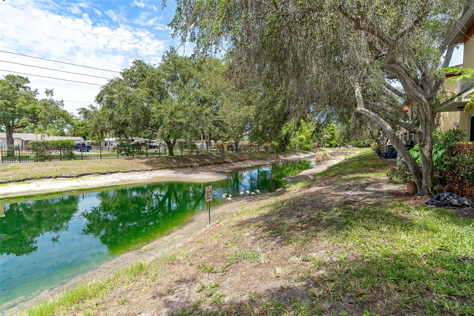 COQUINA KEY TWNHMS - Residential