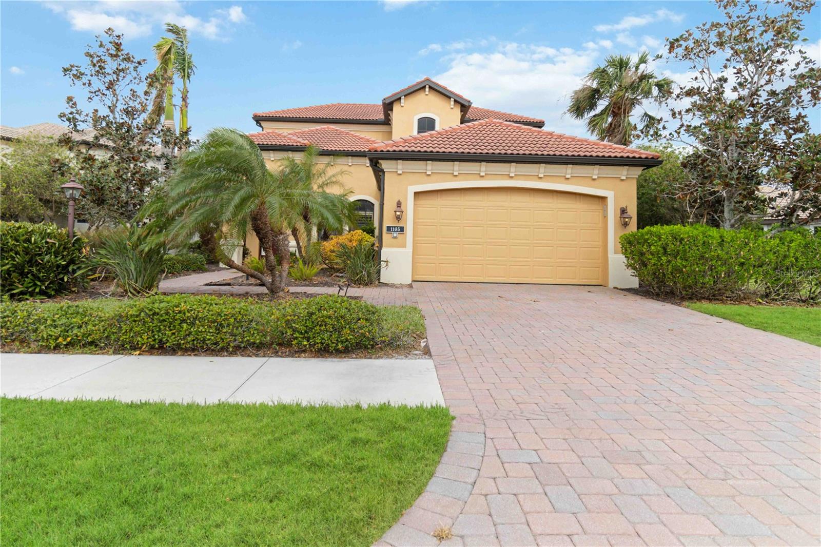 WILLOW CHASE - Residential