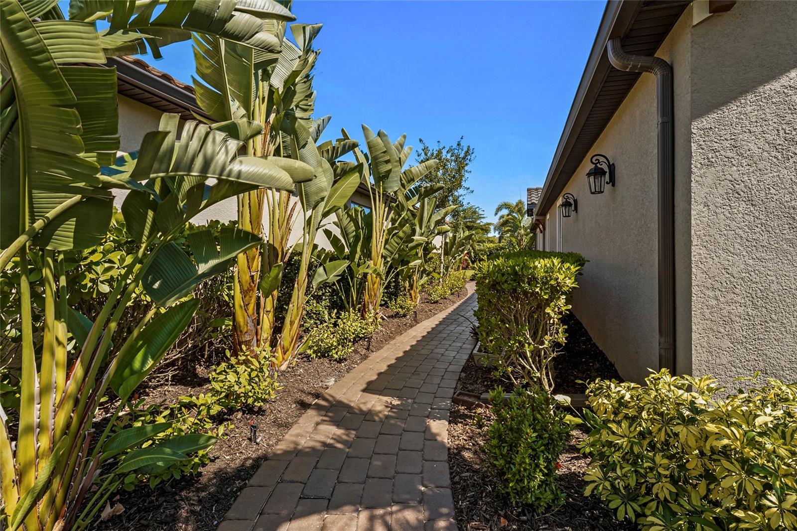 ESPLANADE ON PALMER RANCH - Residential
