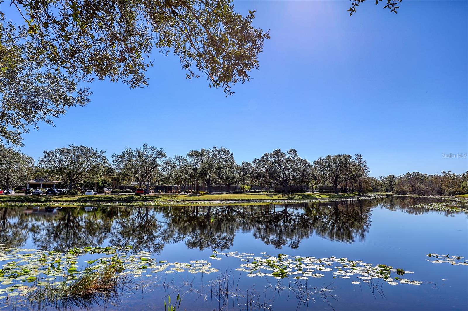 LAKEWOOD RANCH COUNTRY CLUB VILLAGE D 3A - Residential
