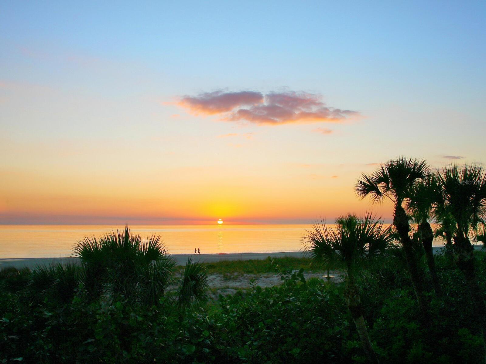WATER CLUB 01 AT LONGBOAT KEY - Residential