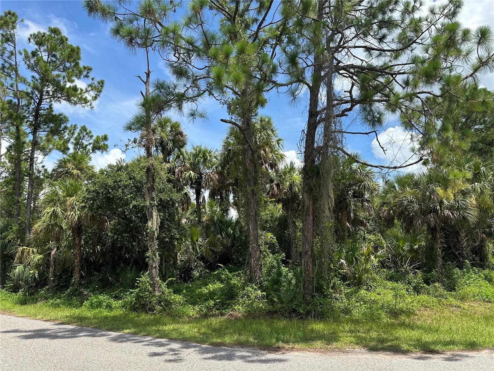 PORT CHARLOTTE SUB 32 - Land