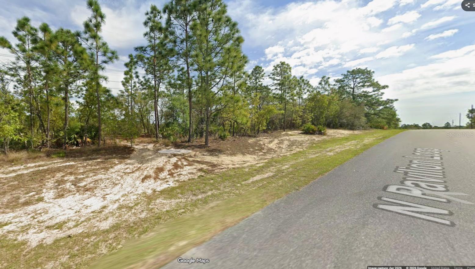 Who doesn't love a nice, wooded lot??? ...with public water and power lines in place! This piece of sunny Florida is literally minutes from US 41/N Florida Avenue, leading to the famous Rainbow Springs State Park, offering a crystal clear 70-degree year round swimming hole, beautiful waterfalls, & walking trails. The nearby town of Dunnellon provides shopping, restaurants and more. High and dry, sits 120+ ft above sea level! Citrus Springs has a golf course, schools, churches, doctor's offices, tennis courts, baseball fields, playground, library and access to the 46 mile paved Withlacoochee State Bicycle and Walking Trail. No mandatory HOA! HURRY, CALL TODAY!