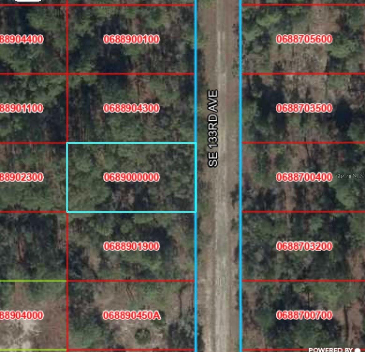 This homesite features natural privacy while still being close to main roads for easy access to Dunnellon, Ocala, Inverness, and Chiefland. Located just minutes from CR 337 with a direct route to Crystal River and the Gulf of Mexico. No HOA and site-built homes only (no mobile homes). No required timeline to build. Ideal for a primary residence, future homesite, or investment with low annual taxes. Enjoy a peaceful setting surrounded by lakes, parks, and outdoor recreation while still being a short drive to shopping, dining, and everyday conveniences. Listing agent is a member of the selling LLC.