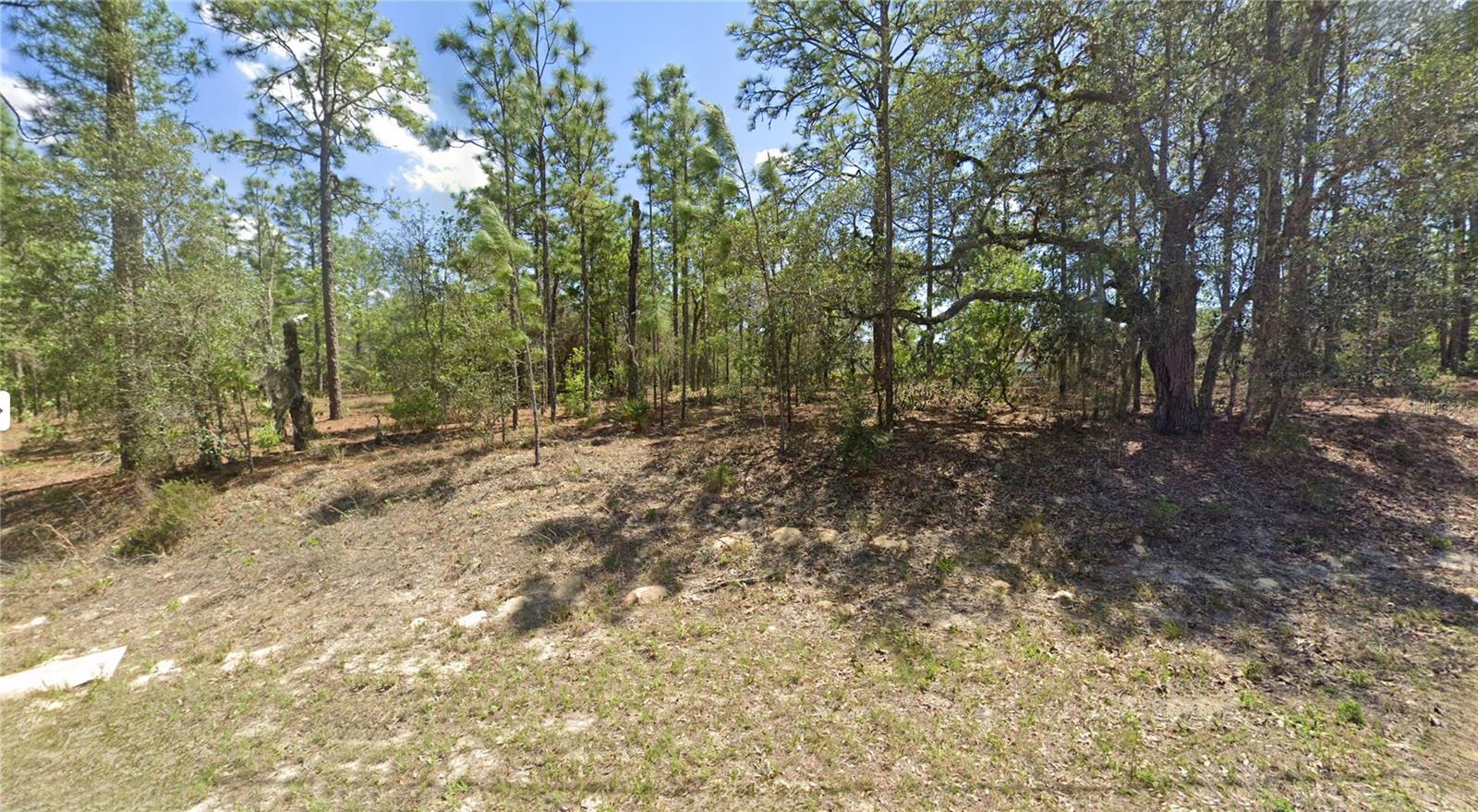 Sunshine has a new address, and it just happens to sit on a generous .32-acre corner lot at 2551 W Sheila Dr. in Citrus Springs, Florida. This is the kind of homesite that quietly whispers possibilities. More yard for your dream home, more breathing room between neighbors, and more curb appeal thanks to that coveted corner positioning. Whether you are picturing a modern Florida retreat, a charming ranch, or something with a little architectural flair, this blank canvas is ready for your blueprint and your imagination.

Being a corner lot means flexibility. Side-entry garage. Extra parking. A circular driveway if you are feeling fancy. There is space here to stretch out, design smart landscaping, maybe even add that future pool you swear you are “just thinking about.” At .32 acres, you are not squeezed in. You have room to live, plant, entertain, and enjoy.

Citrus Springs is known for its peaceful residential feel while still keeping you connected to the good stuff. Outdoor lovers will appreciate being about 15 minutes from Rainbow Springs State Park where kayaking, tubing, and crystal-clear water are basically a lifestyle. Golf enthusiasts can tee off just minutes away at Citrus Springs Golf & Country Club. For boating, fishing, and waterfront dining, the Gulf is roughly 35 to 40 minutes away in Crystal River, famous for its springs and manatees.

Daily conveniences are within easy reach. You are approximately 15 minutes from shopping and dining in Dunnellon and about 25 minutes from Inverness for additional restaurants, medical facilities, and retail. Need a bigger shopping run or a night out? Ocala is around 30 minutes away, offering major stores, entertainment, and a wide variety of dining options.

This lot gives you the rare combination of space, flexibility, and location without the noise of city congestion. It is ready when you are. Bring your builder, your plans, and your vision. Opportunities like this do not linger forever, so make your move while this corner of Citrus Springs is still yours to claim.
