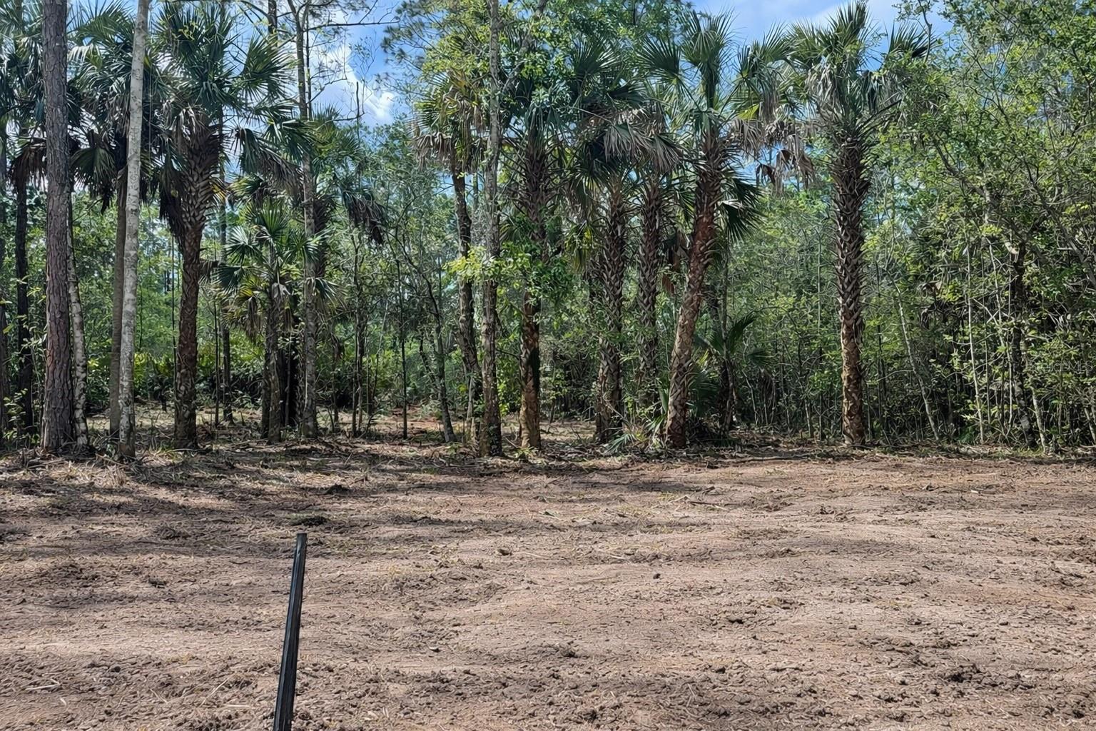 BEAUTIFUL HIGH AND DRY LOT *ALREADY CLEARED,* SURVEY *AND *PERK TEST DONE! READY FOR GO! THIS LOT IS PREMIUM! 
NO FLOOD ZONE!