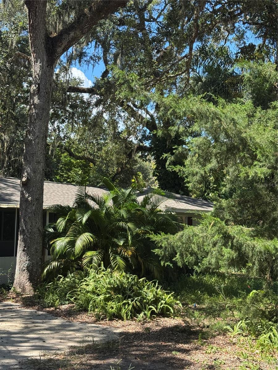 WHISPERING OAKS - Residential