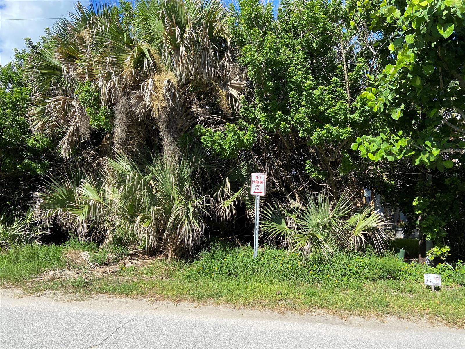 Bethune Volusia Beach - Land