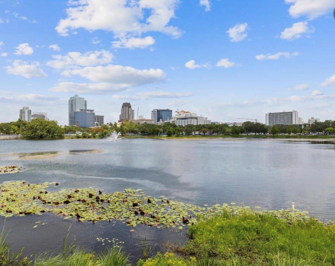 701 MIRROR LAKE CONDO - Residential