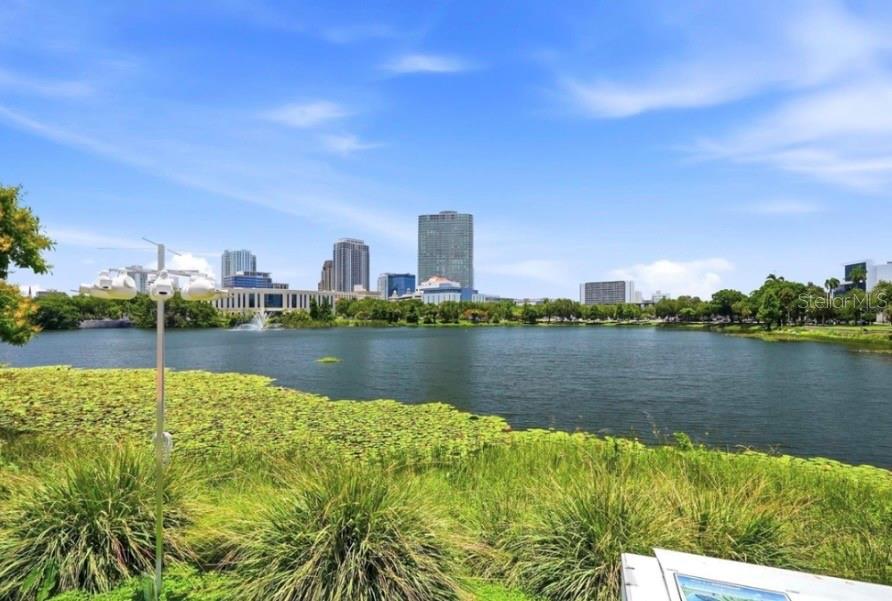 701 MIRROR LAKE CONDO - Residential
