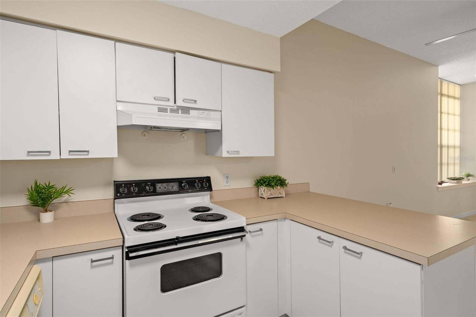 701 MIRROR LAKE CONDO - Residential