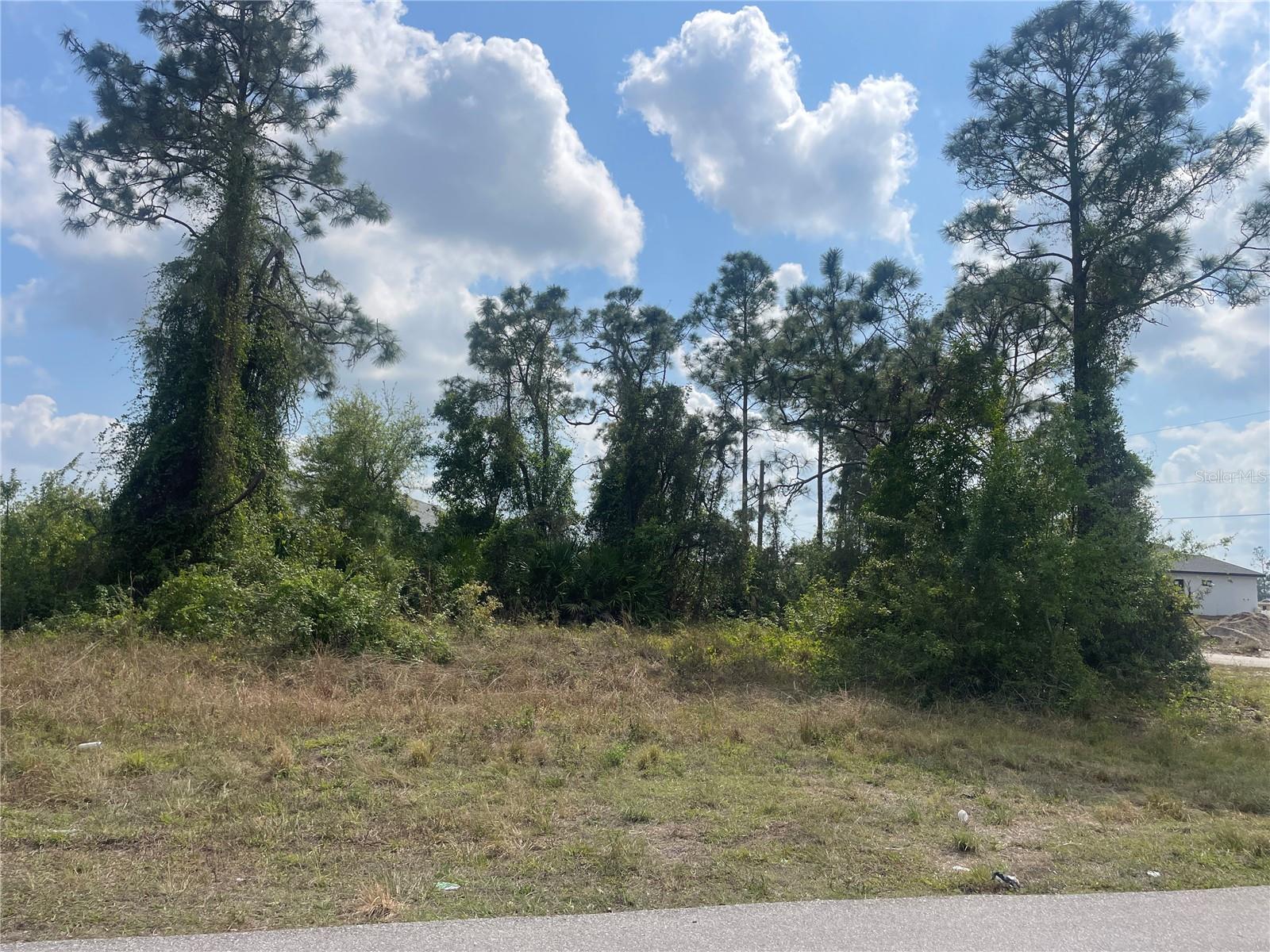 LEHIGH ACRES - Land