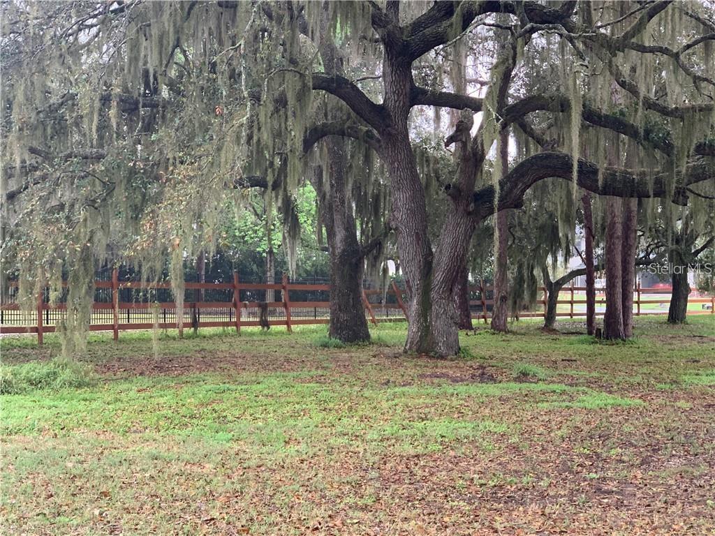 SEMINOLE LAND & INV CO - Land