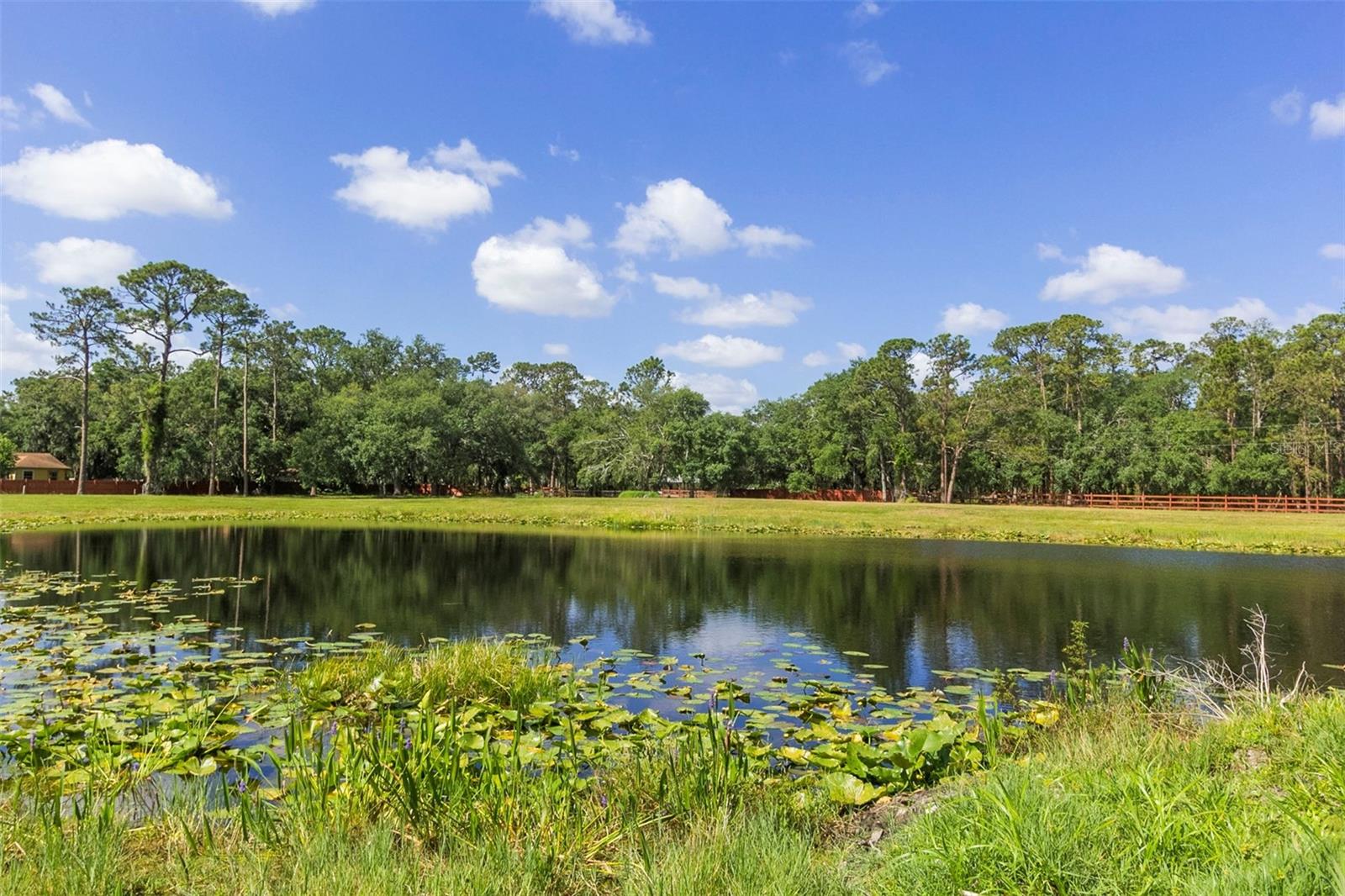 SEMINOLE LAND & INV CO - Land