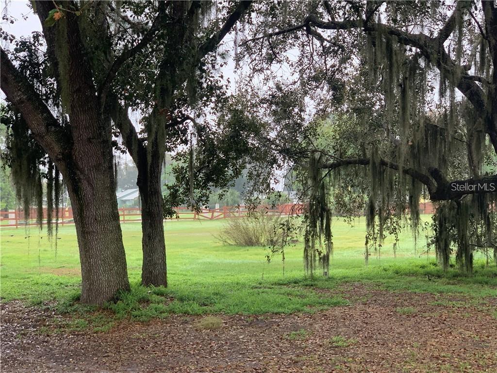 SEMINOLE LAND & INV CO - Land