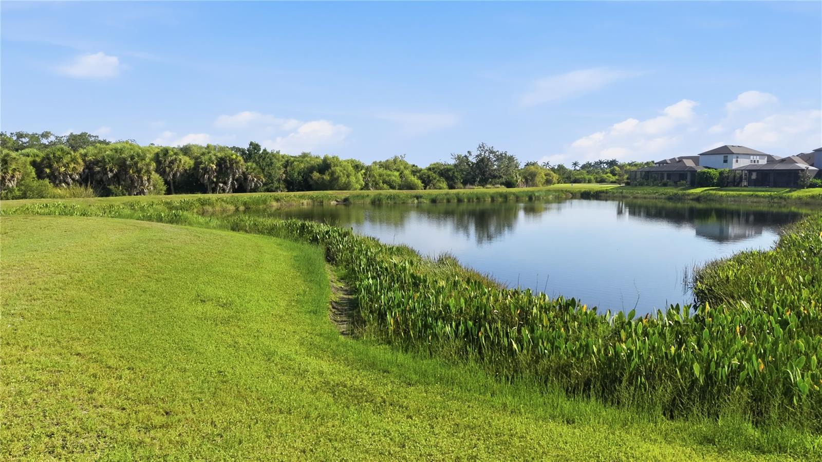 PROMENADE ESTATES PH I - Residential
