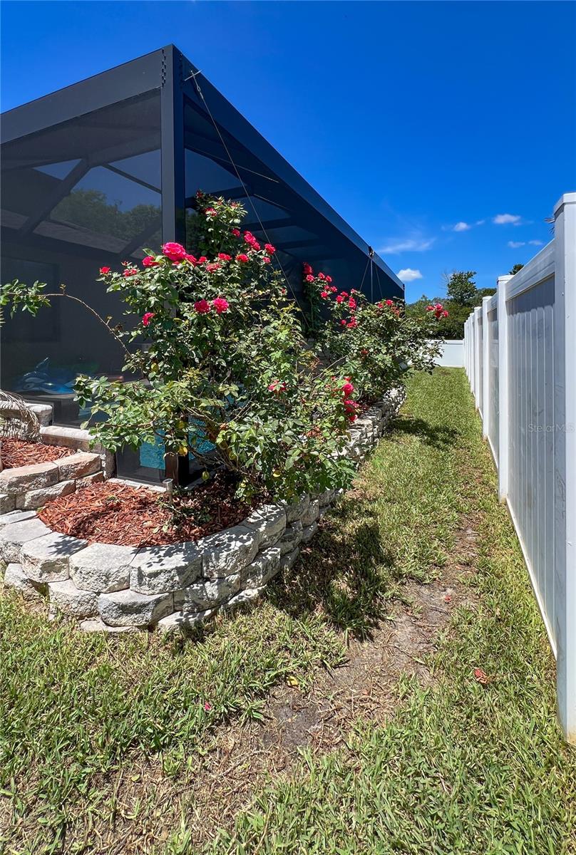 ROSE HAVEN PH 1 - Residential
