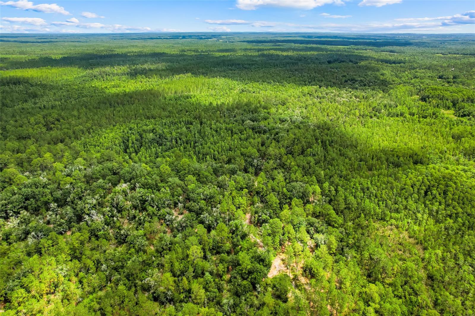 Discover the possibilities with this 6.5-acre parcel located on Water Road in Groveland, Florida. Featuring approximately 4.25 acres of wetlands and 2.25 acres of upland (non-wetland) area, this property presents a unique opportunity for investors, conservation enthusiasts, outdoor recreation seekers, or those looking to own a piece of Florida's natural landscape.
Surrounded by native vegetation and abundant wildlife, the property offers privacy, tranquility, and plenty of room to enjoy nature. Whether you're interested in long-term land investment, recreational use, wildlife observation, or simply owning acreage in a peaceful setting, this parcel provides a rare opportunity to do so.
Conveniently located within reasonable distance of major roadways, shopping, dining, and the growing communities of Groveland and Clermont, you'll enjoy the balance of seclusion and accessibility.
Buyer Notice: This property is currently considered unbuildable and landlocked.  Buyers are strongly encouraged to conduct their own thorough due diligence regarding land use, zoning, environmental conditions, permitting requirements, wetlands regulations, and any other factors important to their intended use of the property. All information is deemed reliable but should be independently verified by the buyer.