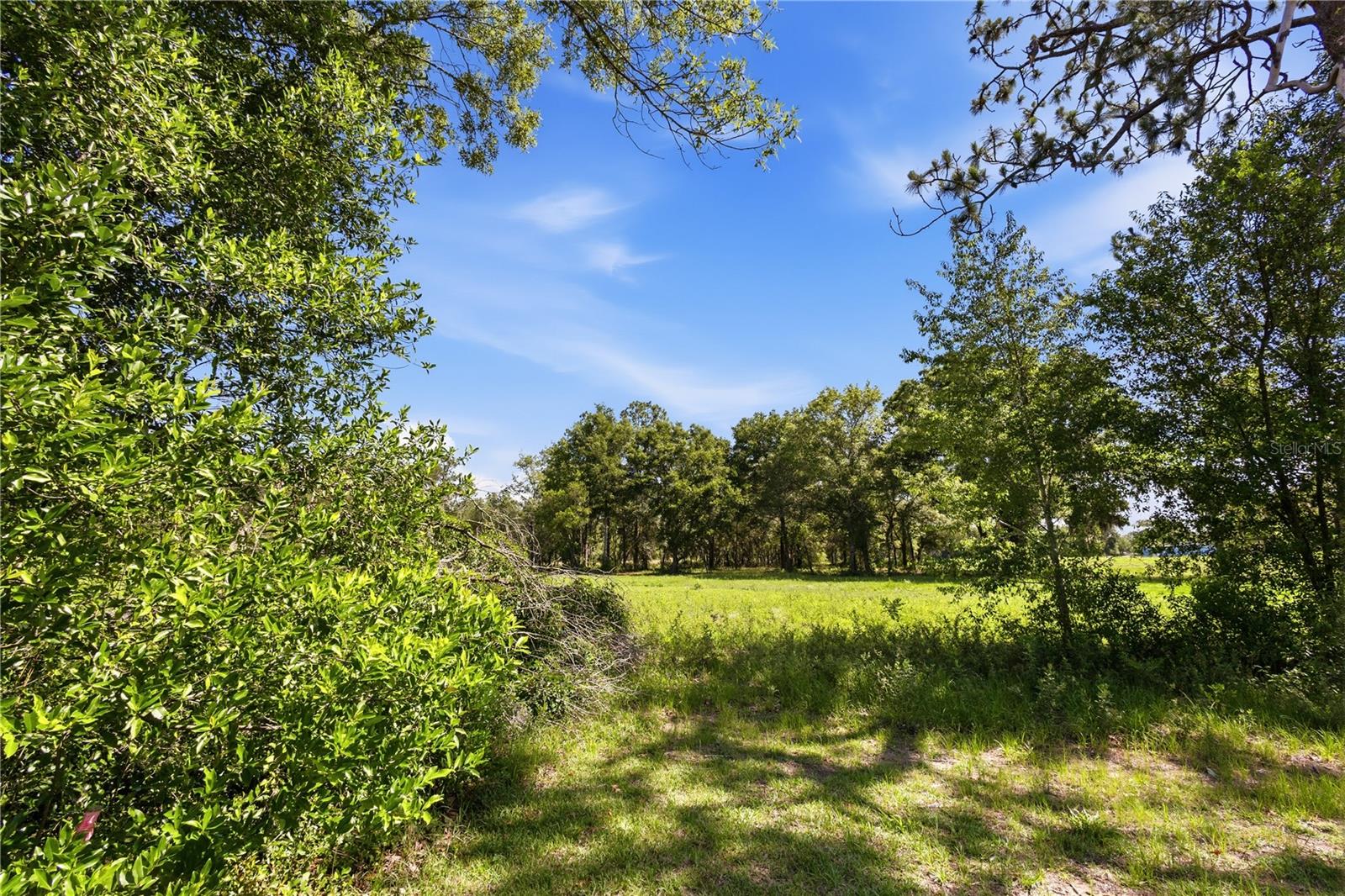 WILLISTON HYLNDS GOLF & C CLUB ESTATE - Residential