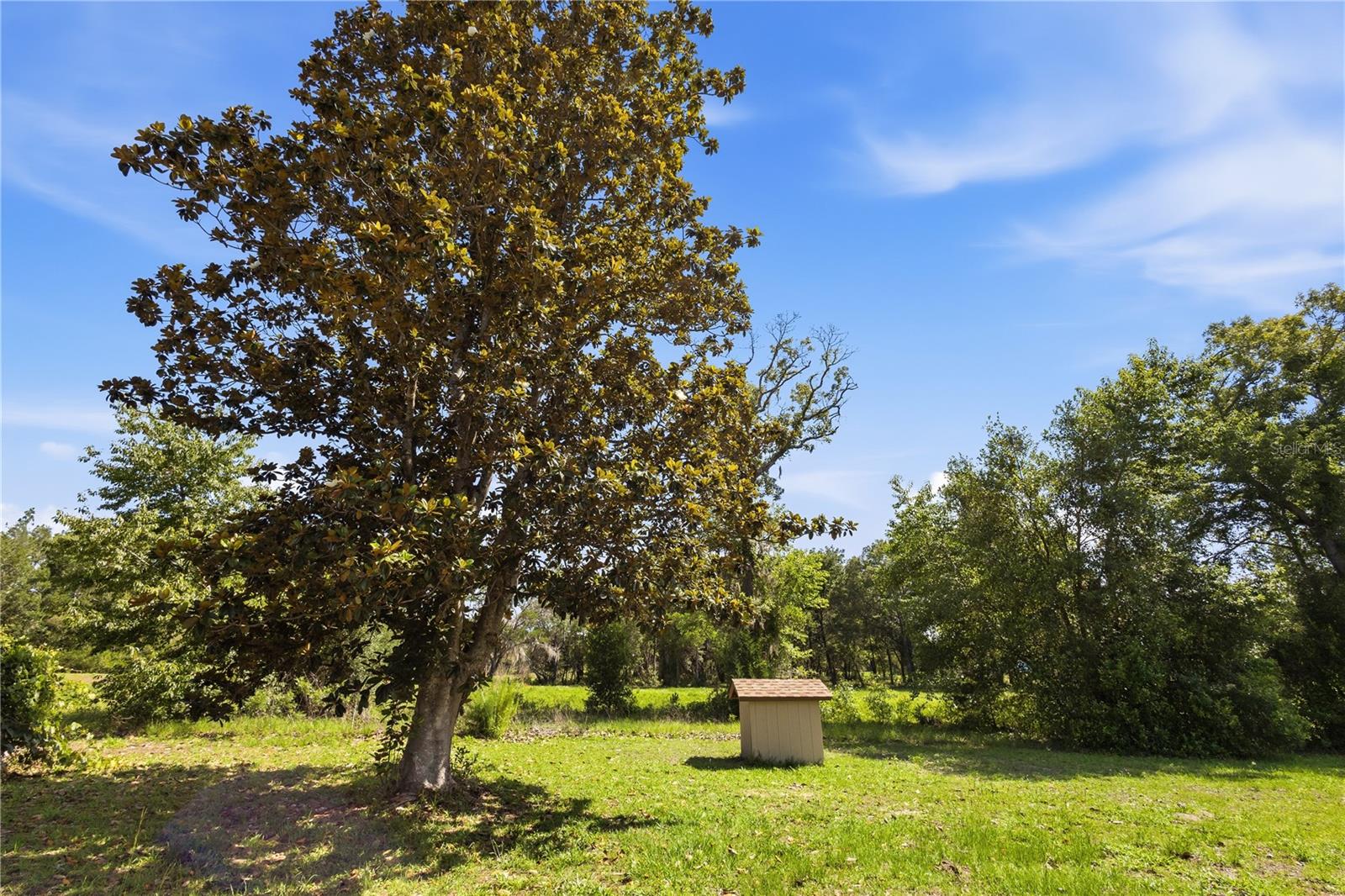 WILLISTON HYLNDS GOLF & C CLUB ESTATE - Residential