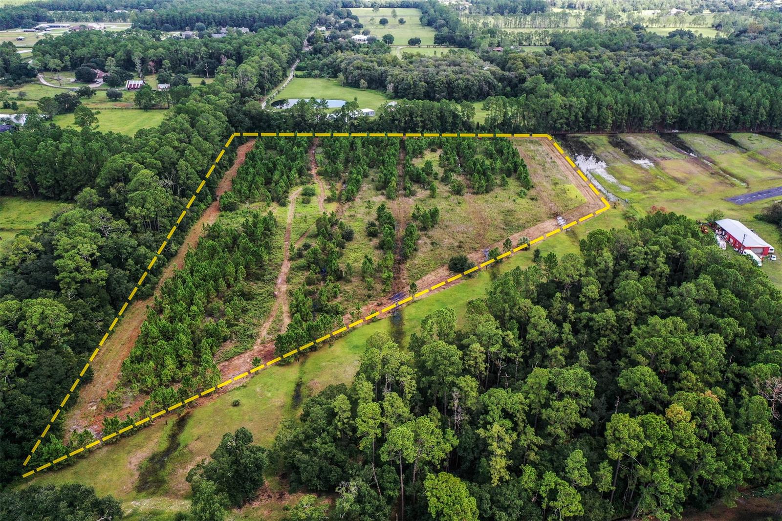 SELLER MOTIVATED! Make An Offer on this private 11+ ACRE parcel located off Parsley Lane in sought after Samsula, FL! Survey available! No HOA! Mostly X Non-flood Zone. Property is partially cleared and is conveniently located to Wal-Mart, Publix, shopping, beaches, restaurants, airports, and schools! Plenty of room for horses, cows, toys, barns! Zoned agricultural. Samsula is a quaint area of Volusia County still offering that small town feel yet close to everything! Minutes to neighborhood feed and farm supply stores, church, schools, farm fresh veggie & craft stands. Interested parties should make all building/zoning/usage inquiries to Volusia County. Entrance to property is through a 15' wide easement from Parsley Lane that will make a nice long driveway to property!; Cleared: Partial