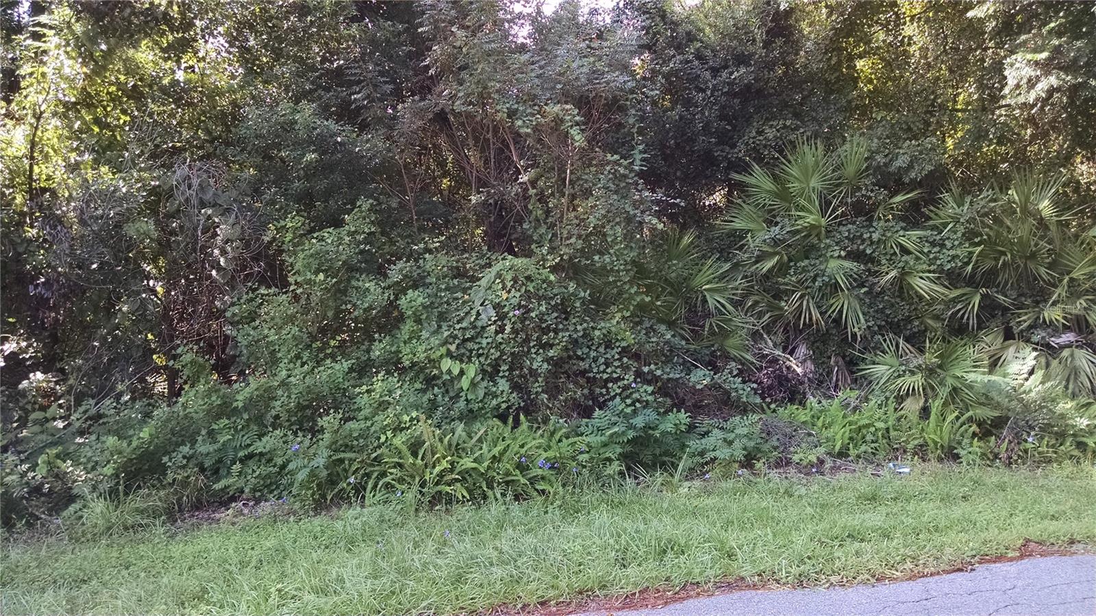 This lot is considered a PRIME, High-Potential location for a business, particularly for retailor professional services. It is situated in a rapidly growing area of Deltona, which is recognized as the largest city in Volusia County. Very High Visibility and High Traffic Count.