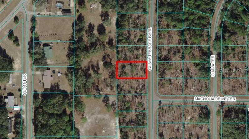 Cleared 0.27-acre residential lot ready for your new home! No required builder. Electricity is nearby, and the property will need a well and septic system. Great opportunity to build in a growing Ocklawaha area with convenient access to lakes, outdoor recreation, and everyday amenities.
