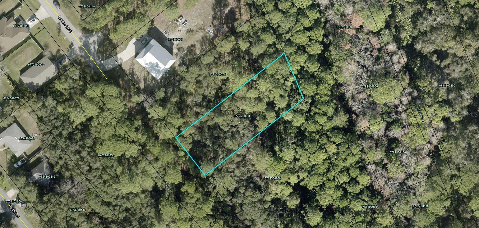Sunset Blvd – 0.40 Acre Lot Here’s a wonderful chance to own almost half an acre in St. Augustine Park, just off US-1 north of
historic St. Augustine. With its size and location, this parcel offers space and possibilities at an affordable price point. The lot
is platted, but there’s no road or utilities in place yet, and the owner doesn’t have a survey. It’s a simple way to secure a piece
of land now and hold it for the future as the community around it continues to grow. Whether you’re thinking about investing,
starting your land portfolio, or just want a little slice of St. Augustine to call your own, this property gives you that opportunity.