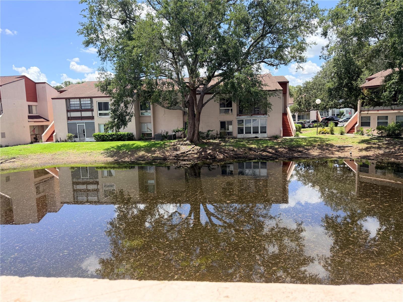 LEMON TREE CONDO SEC 08 - Residential