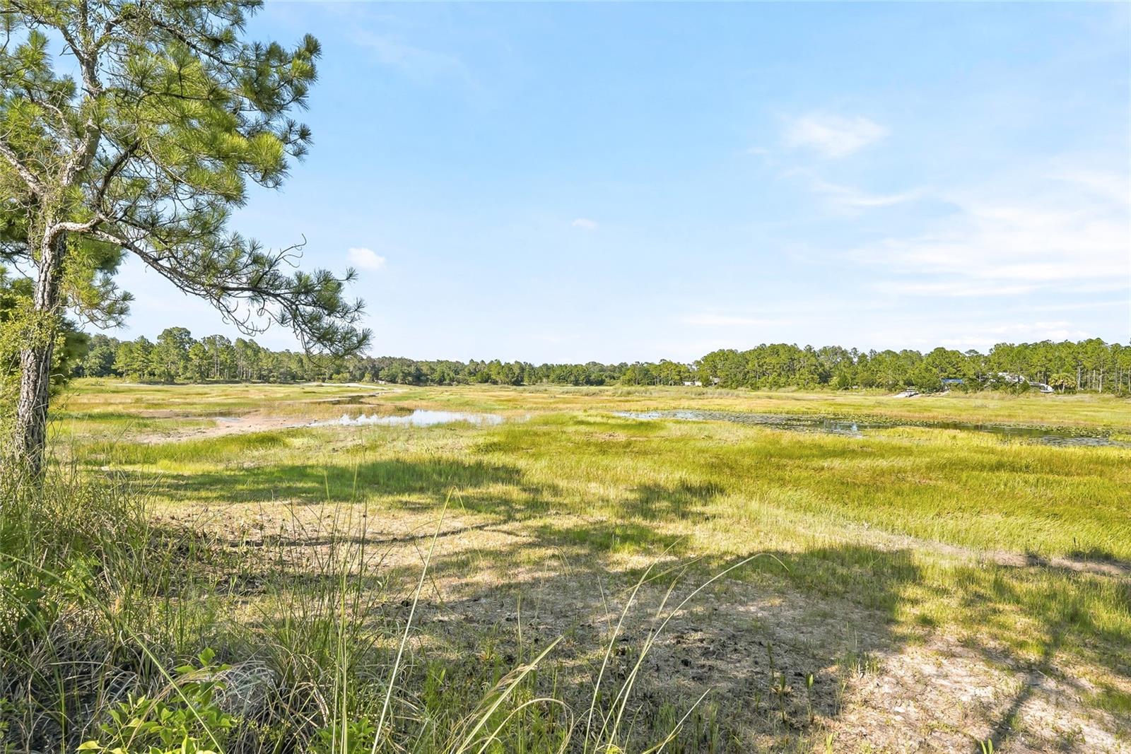 RIDGE MANOR ESTATES - Land