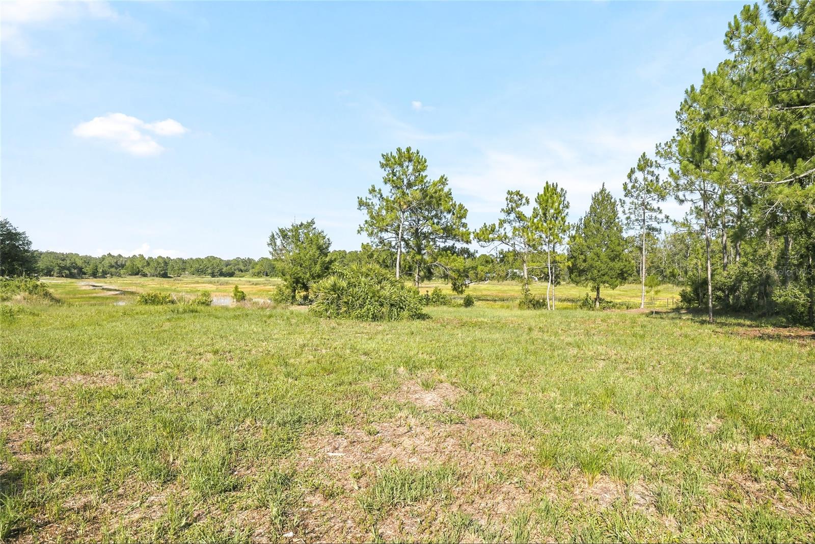 RIDGE MANOR ESTATES - Land