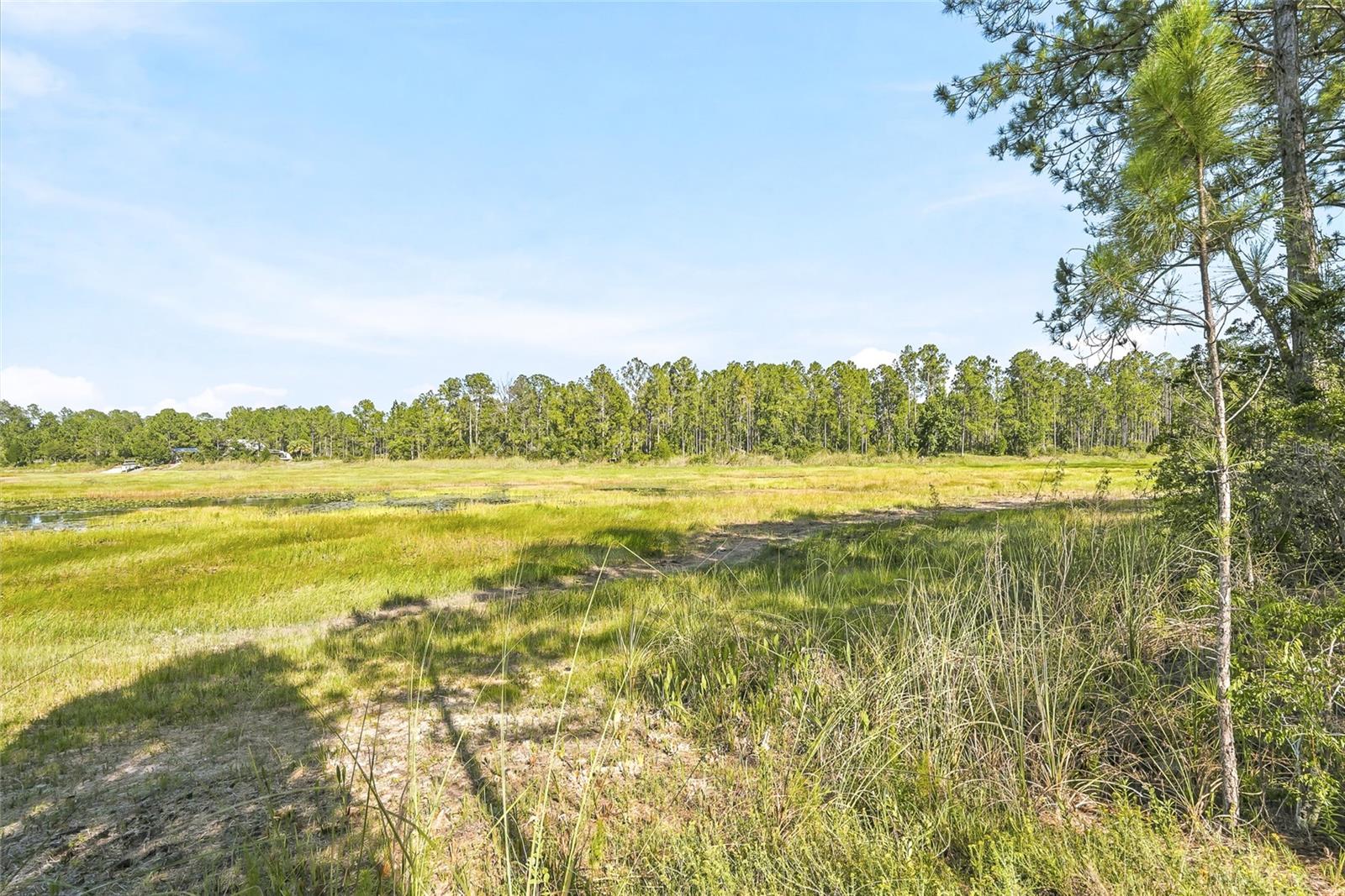 RIDGE MANOR ESTATES - Land