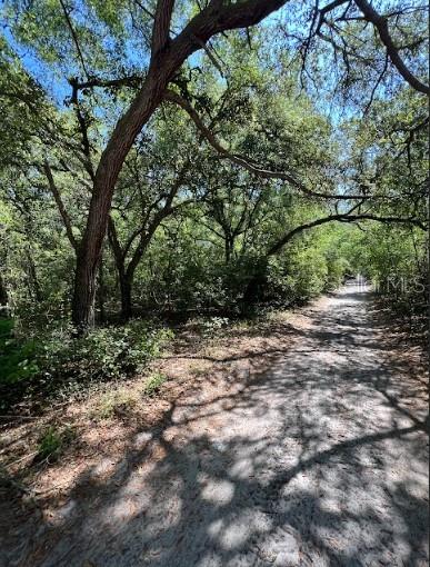 Discover this prime 1.13-acre parcel nestled in the desirable community of Florida Highlands. Boasting a generous 165 x 300 lot size and zoned for both single-family and mobile home use, this property offers versatility for your dream residence. With a purchase price of $22,000, this spacious lot presents an excellent opportunity to create your ideal home in a serene location, surrounded by natural beauty.