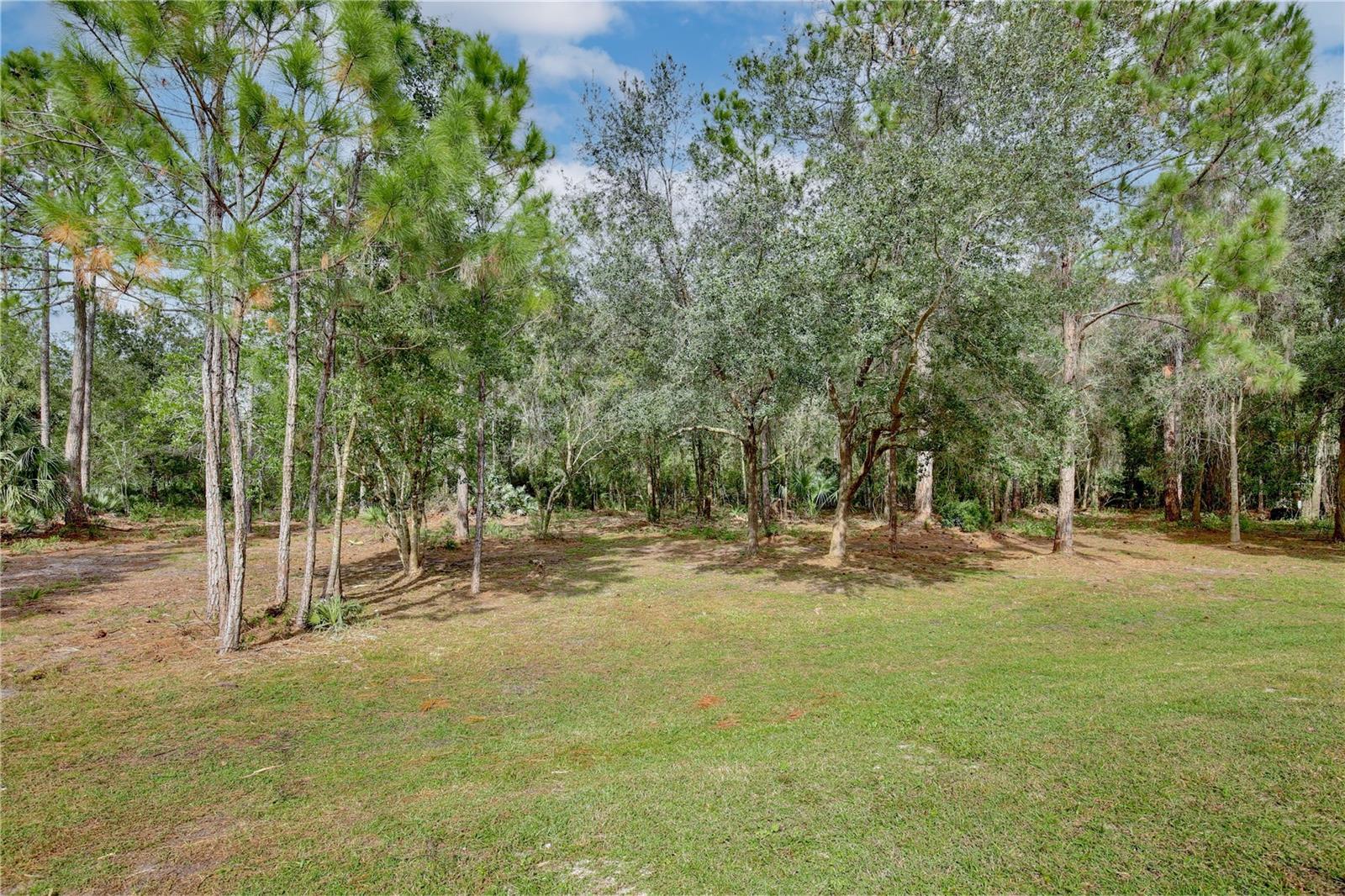 LAKE HARNEY ESTATES 5 ACRE DEV 256 PARCELS - Residential