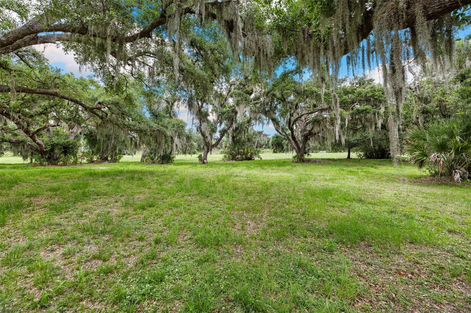 GATOR CREEK ESTATES - Residential