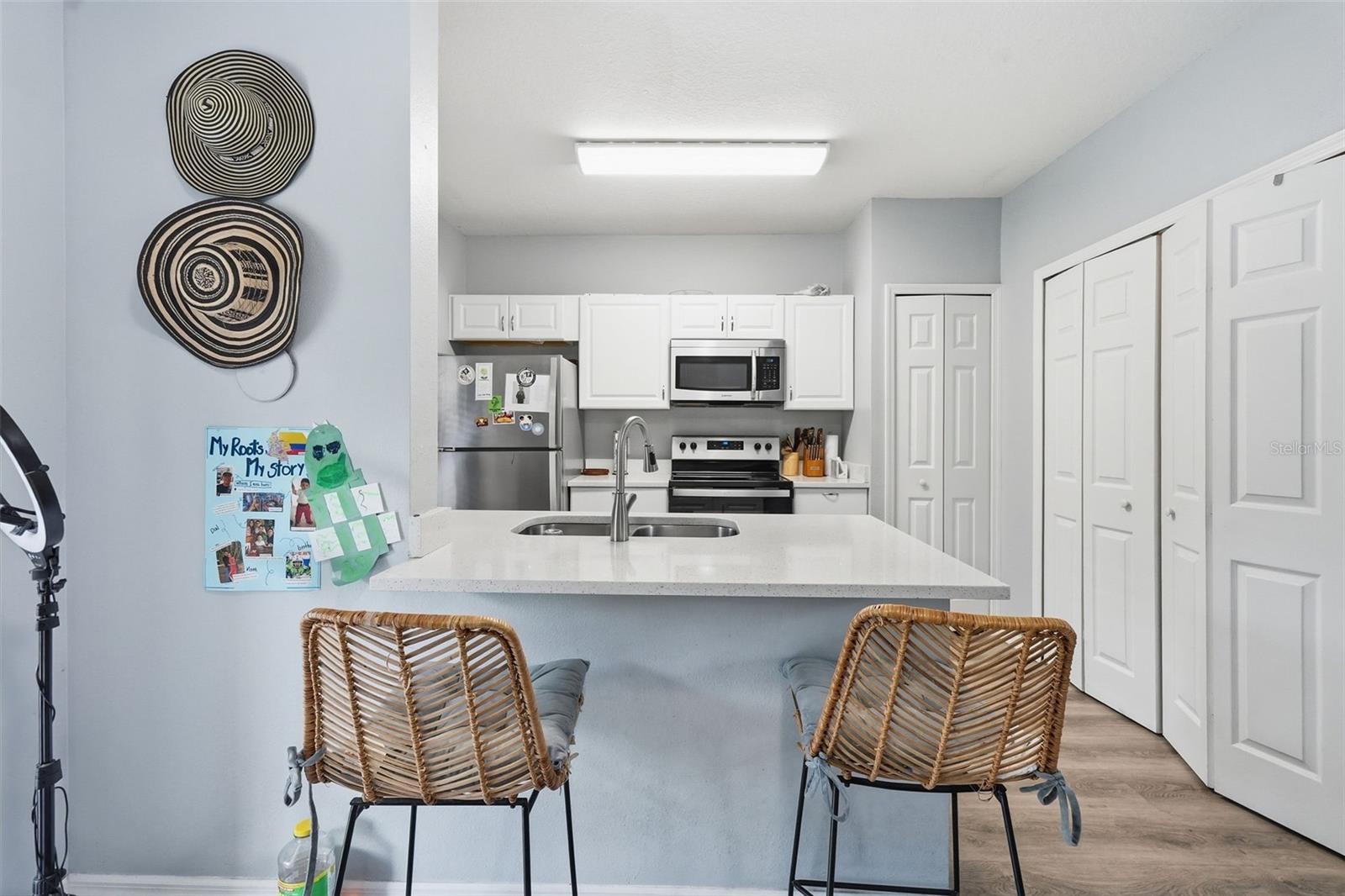 MEADOW POINTE PRCL 16 UNIT 3A - Residential